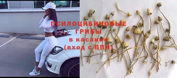 молекула духа Остров