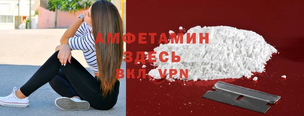 трава Няндома