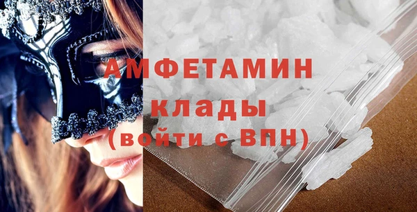 трава Няндома
