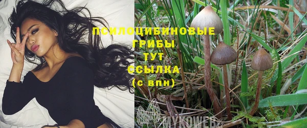 меф Новозыбков