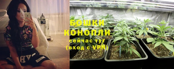 ALPHA-PVP Осинники