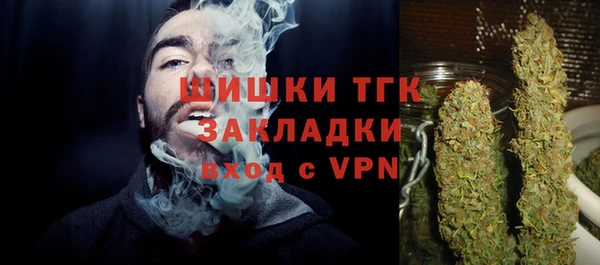 трава Няндома