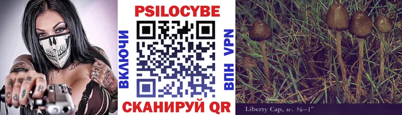 что такое наркотик  МЕГА как зайти  Псилоцибиновые грибы Magic Shrooms  shop состав  Камбарка 